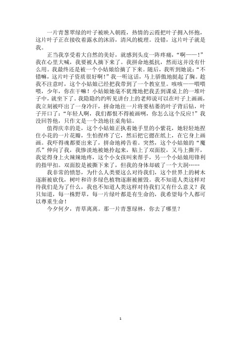 最新一叶知心作文