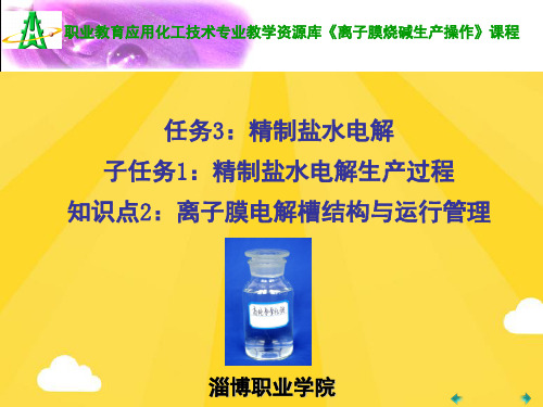 【推荐】子任务知识点：离子膜电解槽结构与运行管理PPT资料