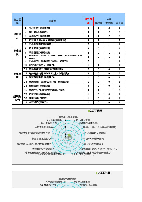 产品能力评级表
