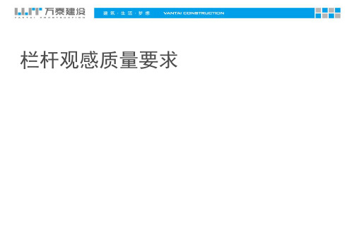 07栏杆强制性条文、防腐、外观质量要求