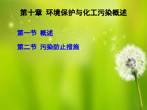第十章环境保护与化工污染.ppt