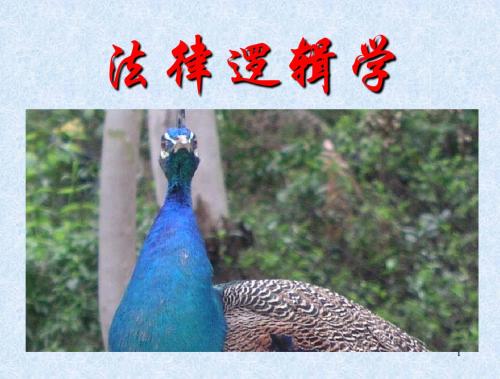 法律逻辑学