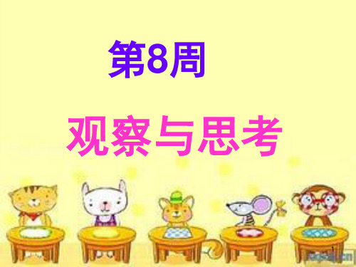 一年级举一反三第8周观察与思考(课堂PPT)