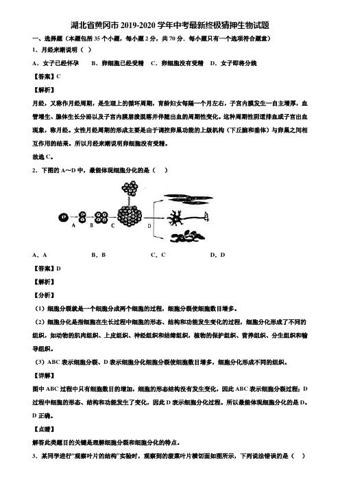 湖北省黄冈市2019-2020学年中考最新终极猜押生物试题含解析