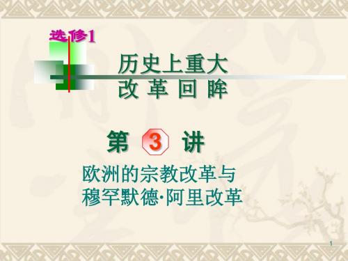 2012届高考历史复习：欧洲的宗教改革与穆罕默德·阿里改革