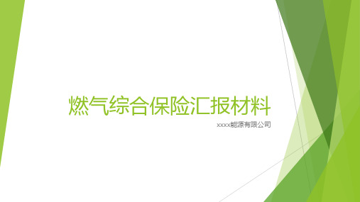 燃气综合保险政府汇报材料(新) - 副本