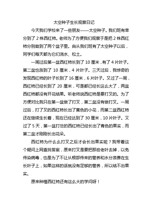 太空种子生长观察日记