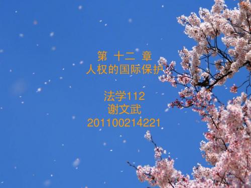 第十二章_人权的国际保护