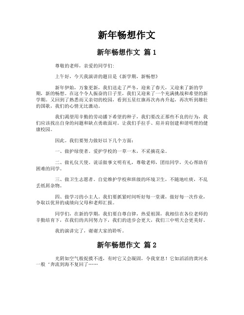 新年畅想作文-3