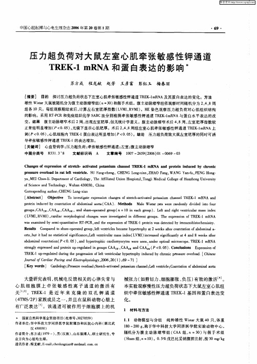 压力超负荷对大鼠左室心肌牵张敏感性钾通道TREK-1 mRNA和蛋白表达的影响