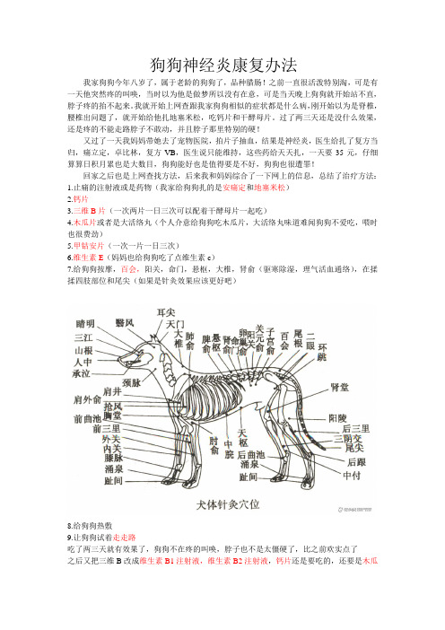 狗狗神经炎治疗方案