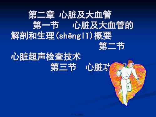 心脏彩超操作 ppt课件