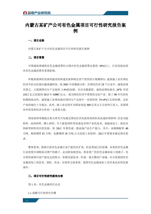 内蒙古某矿产公司有色金属项目可行性研究报告案例