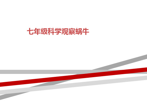 七年级科学观察蜗牛
