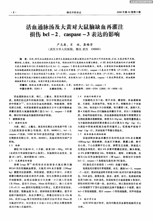 活血通脉汤及大黄对大鼠脑缺血再灌注损伤bcl-2、caspase-3表达的影响