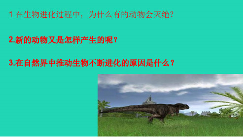 新人教版八年级生物下册进化的原因ppt课件