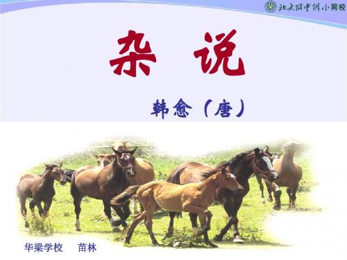 杂说