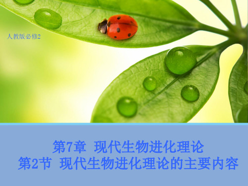 高中人教版生物必修2教学课件：7.2 现代生物进化理论的主要内容1 word版含答案