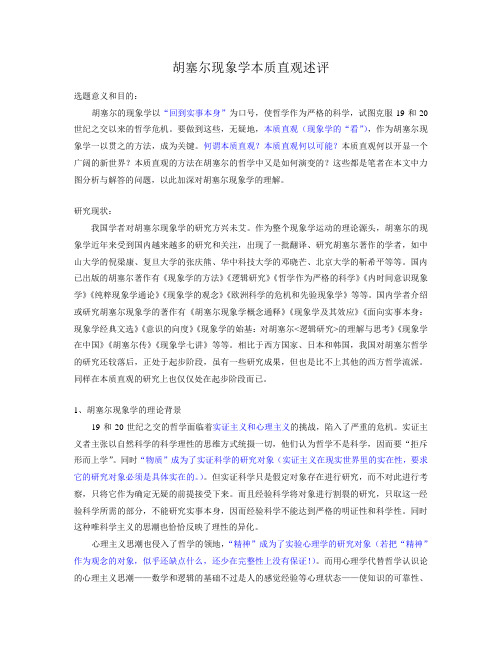 胡塞尔论文