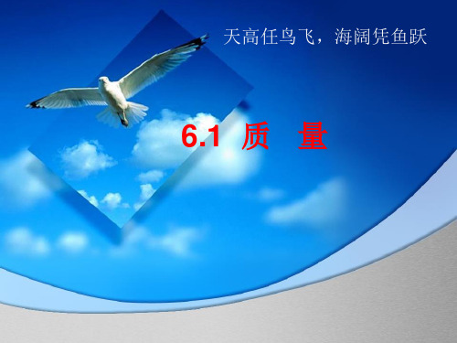 人教版八年级物理上册教学课件-6.1 质量  (1)