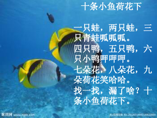 老虎和灰兔5