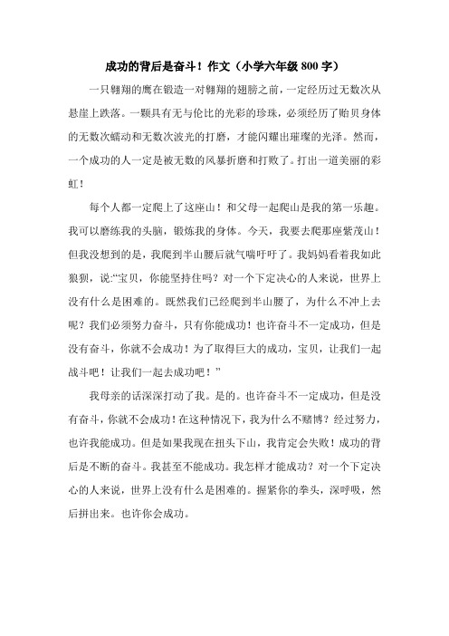 成功的背后是奋斗!作文(小学六年级800字).doc