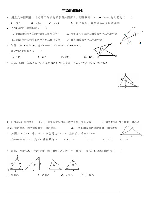 新北师大版八年级下册《三角形的证明》