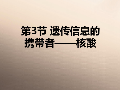 人教版 高一生物 必修一 第二章 第3节-遗传信息的携带者——核酸优品课件