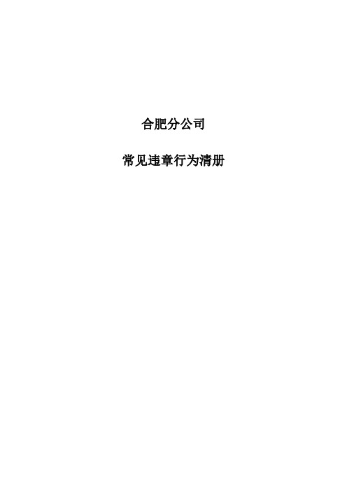 常见违章行为清册