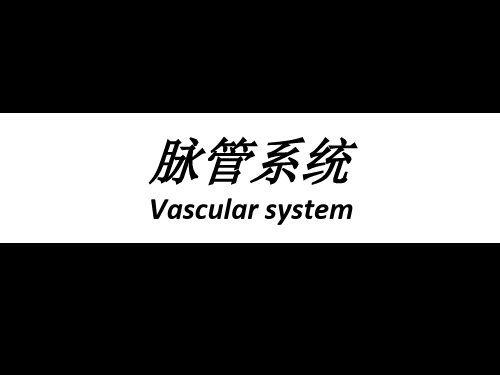 脉管学--脉管系统,心脏
