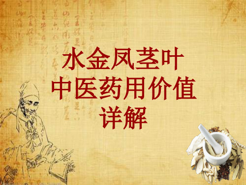 中药学_水金凤茎叶_药材详解课件模板