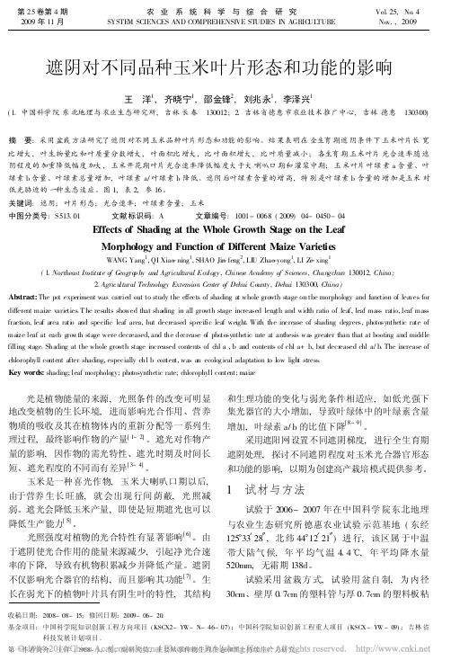 遮阴对不同品种玉米叶片形态和功能的影响