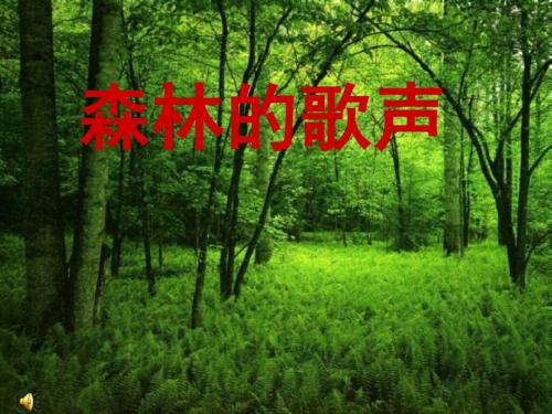 新人音版小学音乐四年级下册《森林的歌声》课件