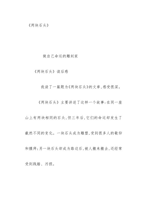 两块石头读后感(读书笔记)