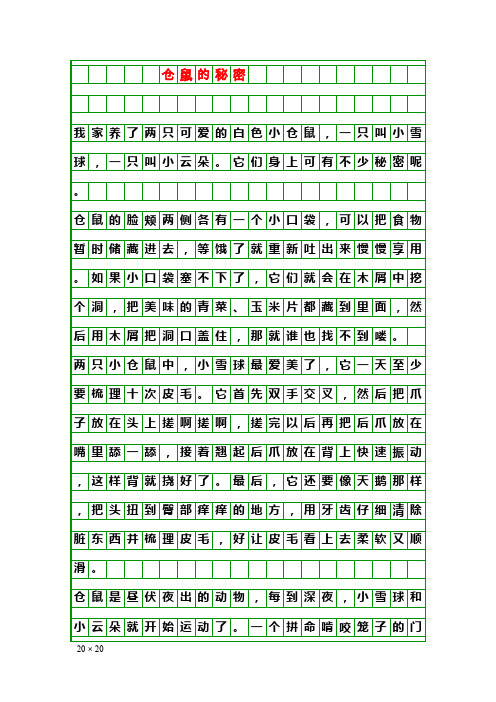 写作素材：仓鼠的秘密