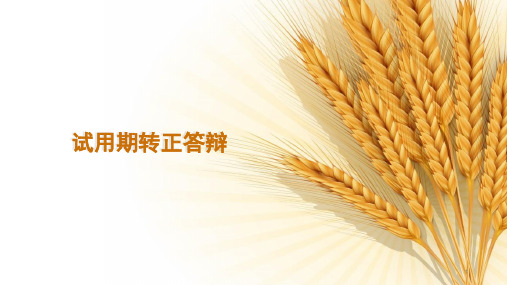 试用期转正答辩ppt课件