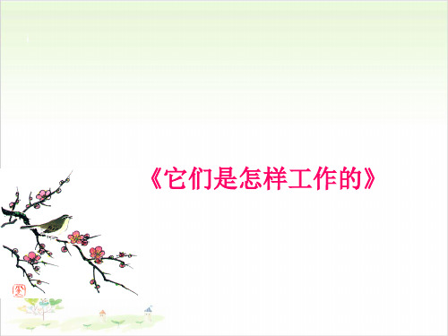 六年级上册科学说课-它们是怎样工作的优秀课件冀教版