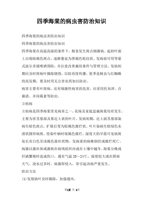 四季海棠的病虫害防治知识