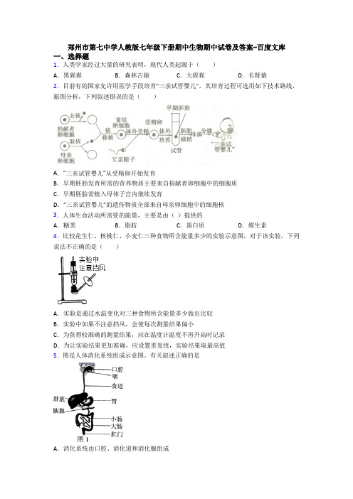 郑州市第七中学人教版七年级下册期中生物期中试卷及答案-百度文库