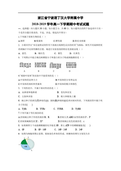 【生物】浙江省宁波诺丁汉大学附属中学2018-2019学年高一下学期期中考试试题(实验班)