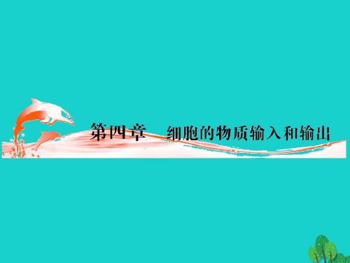 高三生物一轮复习第四章物质跨膜运输的实例(第1课时)精品课件(必修3)