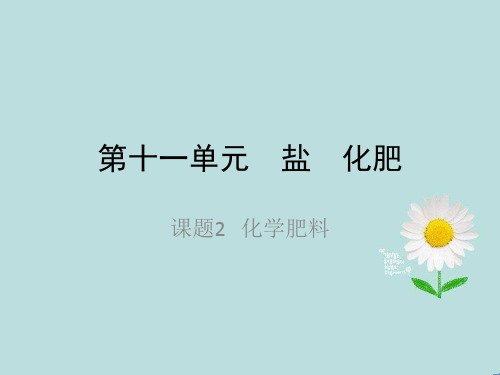 九年级化学第十一单元  盐  化肥(课题2)优秀课件