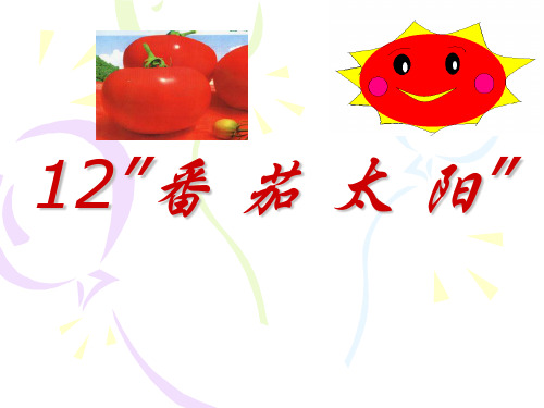 12-苏教版四年级下册12课《番茄太阳》PPT课件
