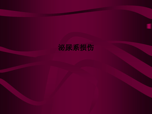泌尿系损伤PPT课件