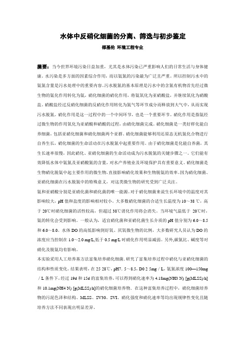 水体中反硝化细菌的分离、筛选与初步鉴定