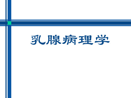 乳腺病理ppt