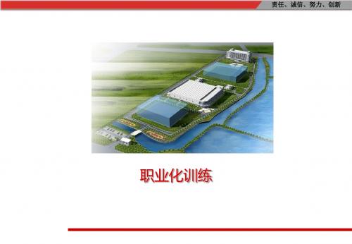 职业化训练(ppt 38页)