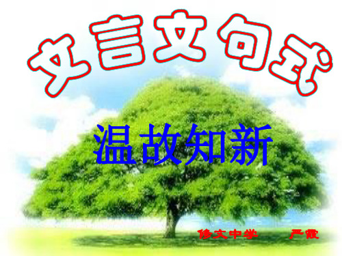 文言文特殊句式(上课)