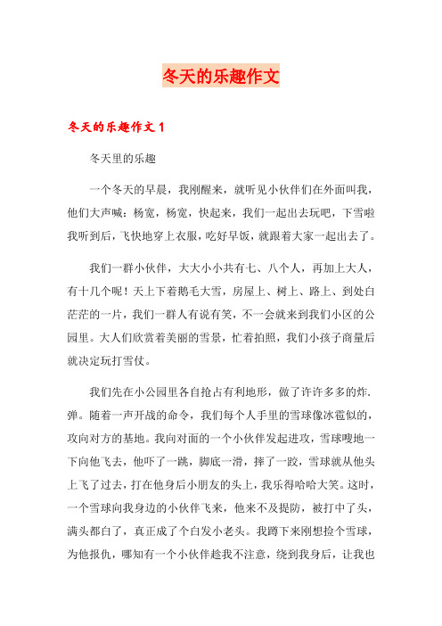 冬天的乐趣作文