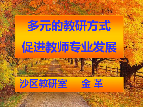 幼儿园教研方式